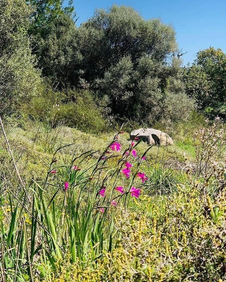 Kaizer Agrotourism Pension Amargeti Buitenkant foto